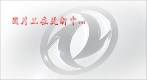 ǰĺ˸ʴƷʽ䳵